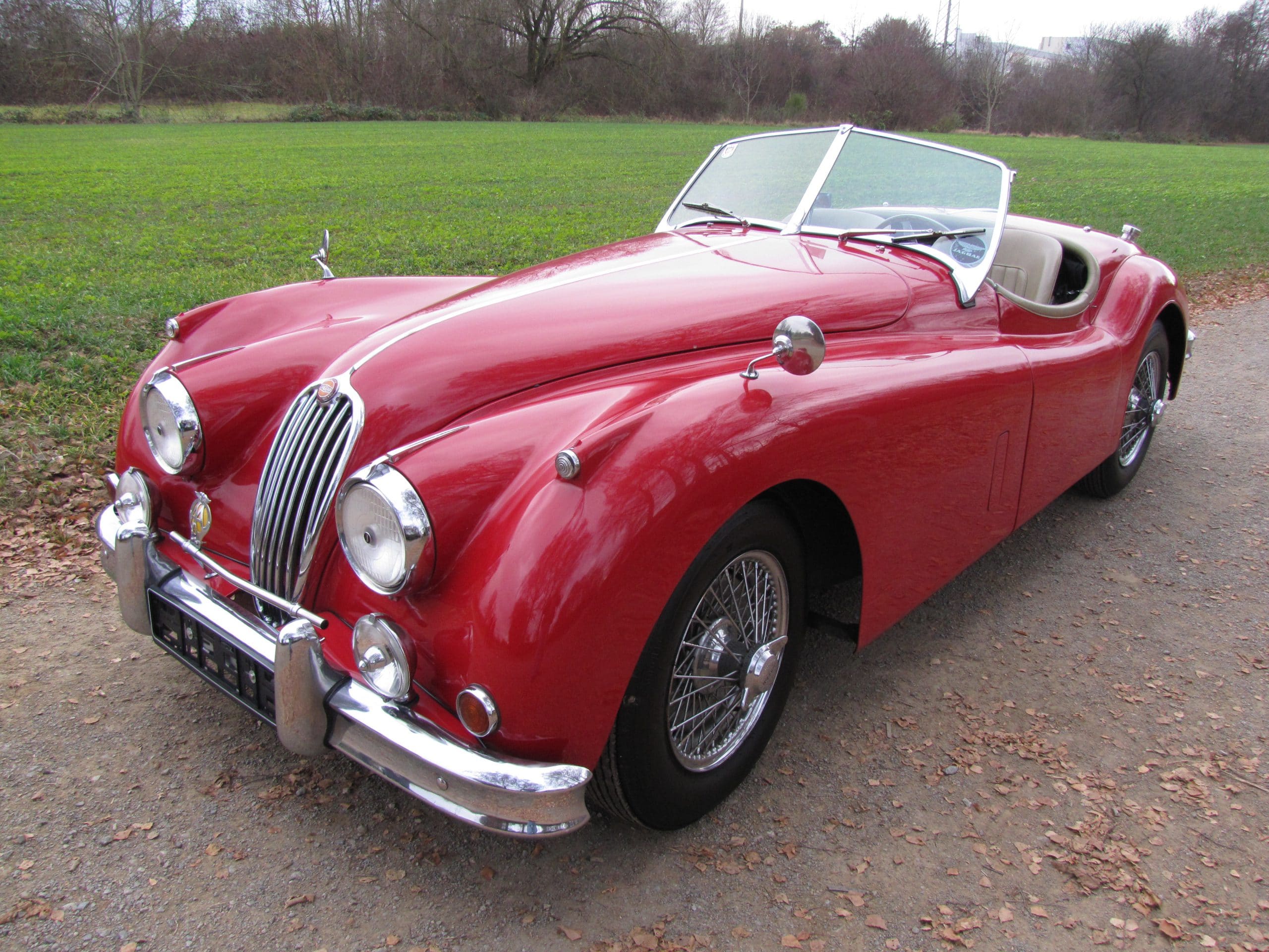 Jaguar XK 140 SE-C OTS - Die Retro Promotion GmbH ist spezialisiert auf